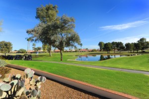 Golf course home in Sun Lakes Oakwood