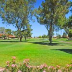 Golf in Active Adult Retirement Communities Near Phoenix, AZ