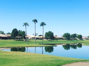 Sun Lakes AZ Oakwood Country Club