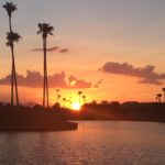 Chandler realtor sells great homes in Sun Lakes, AZ