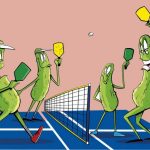 The game of pickleball in Sun Lakes AZ is one the Americas fastest growing sports.