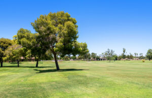 Amazing golf course views at 24623 S Golfview dr.
