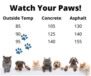 heat pet paw warning