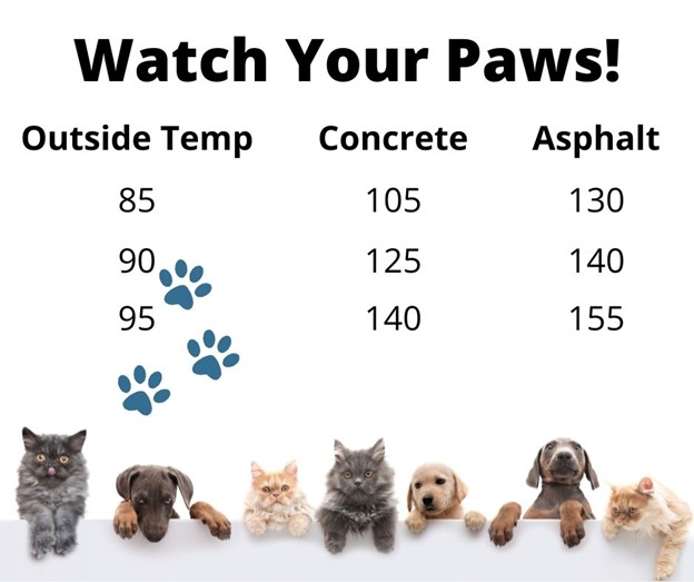 pet paw heat warning