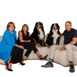 Discovering The Kolb Team will be fun!